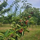 경중농장 이미지