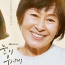 눈이부시게!! 이미지