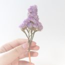 메리-고-라운드 양장본 후기💖