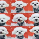 딥잉 산본점 이미지