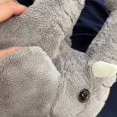 잠실숲사랑니구강악안면외과치과의원 이미지