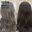 빈헤어비스 | [동탄] 이가자헤어비스 동탄호수공원점 / 손상모 클리닉 추천