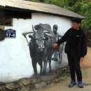 새미민박 이미지