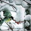 항구열쇠 이미지