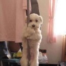 큐티 Daum카페