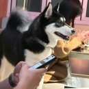 해월 | 전통주와 한식안주 감성 제대로 느낄 수 있는 광안리 술집 ‘해월’ 방문후기