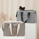 토토애견 이미지