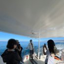 푸른 태양광발전소 이미지