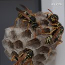 충북효양원 네이버블로그