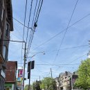토론토 3박4일 여행 일정 (1) ｜에어비앤비 2인 숙소 · 코리아타운 가볼만한 곳 · 토론토의 대중교통