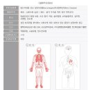 말단비대증(말단거인증 및 뇌하수체 거인증) : 환자들이 자주 하는 질문/천안베스트간호학원 이미지