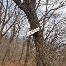 추부보건진료소 티스토리