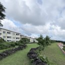 ES제주리조트 | 제주 중산간의 동화 같은 숙소 '클럽 ES 제주' 다녀왔어요! 세월의 흔적과 고즈넉함 그 사이 솔직 리뷰