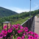 홍천휴게소 이미지