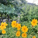배트맨PC산격동 이미지