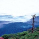 용맹태권도 이미지