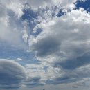 장사항 Daum카페