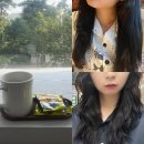 휴먼헤어 | 울산레이어드펌 잘하는 울산북구미용실 프롬채헤어 내돈내산 후기