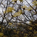 응봉공원 이미지