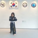 합기도,주짓수,경찰무도 고려전통무예원 | 속초짱이였던 주짓수 격투기