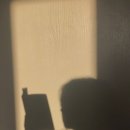 당신이 글을 쓰면 좋겠습니다 이미지