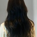 덴헤어 이미지