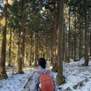 2026.03.20-22. 한라산 이미지