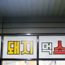 돼지먹소 - 논산시 | 돼지먹소