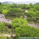 연결녹지4호2 이미지