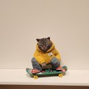 제주현대미술관 이미지