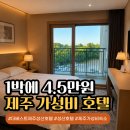 더베스트 | 제주도 성산 가성비호텔｜더베스트제주성산호텔 아쿠아플라넷 패키지 후기