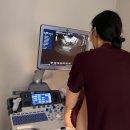서울산부인과의원 | 강남역 산부인과 여의사 후기｜서울비비의원에서 STD검사