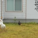 예나루 - 포항시 남구 호미로 1524 | 예나루