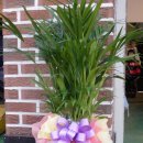 허광영 카 클리닉 이미지