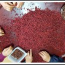 문경동로우체국 이미지