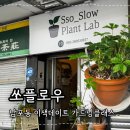 부산데파트 | 부산실내데이트 쏘슬로우 부산가드닝클래스 식집사 후기