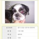 오독오독 이미지