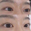 당일예약 가능한 곡반정동 속눈썹 맛집 [오늘 예쁘다]