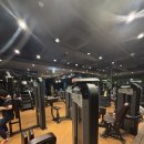 비스코헬스케어 | '배요한 트레이너' 광장동헬스장+PT 광장동 다이어트 <🏋️‍♀️비스코 헬스케어 GDR 비스코 헬스케어 광장클럽🏋️>