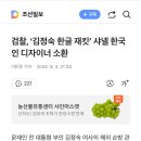 검찰, ‘김정숙 한글 재킷’ 샤넬 한국인 디자이너 소환 이미지