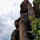 산길따라 이미지