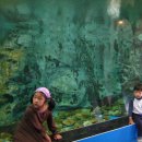 용문산관광지(야영장) 이미지