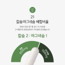 뉴포뮬러