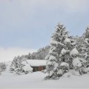 세상목장 이미지