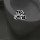 시흥하수구역류변기업체싱크대막힘고압세척 이미지