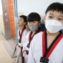 브레인 박사 태권도장 이미지
