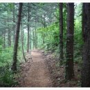 꼬부랑길 이미지