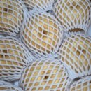 지오농장 이미지