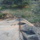 서짓골(2013년) 이미지