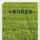 초이농장 이미지